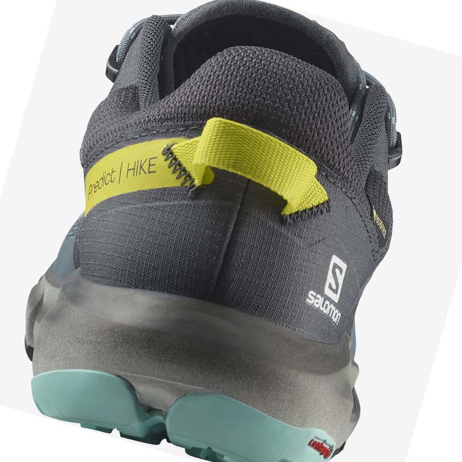 Salomon WoPREDICT HIKE GORE-TEX Kadın Yürüyüş Ayakkabısı Gümüş | TR 2789DFM